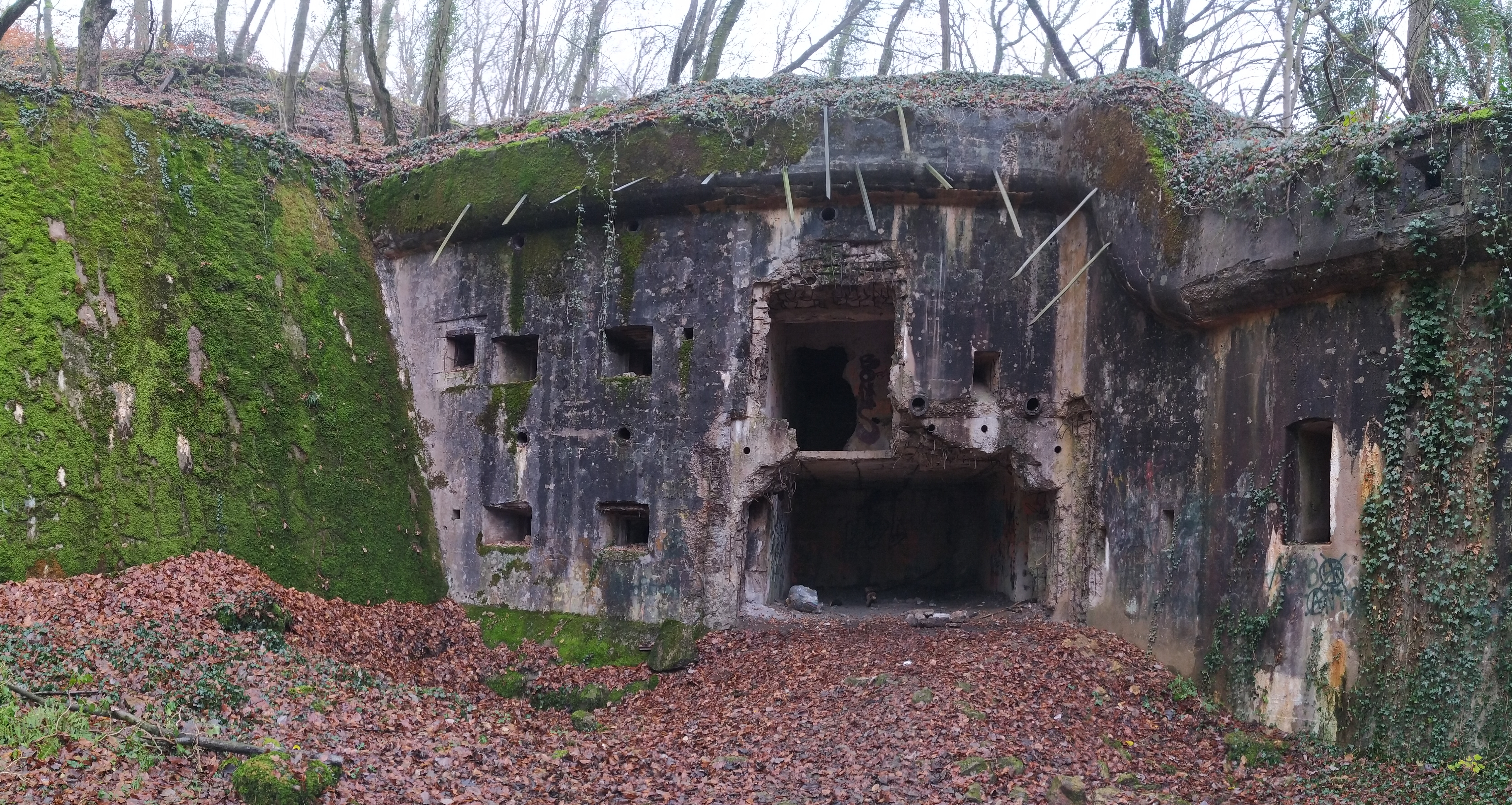 Horimont_II_027_pano.jpg