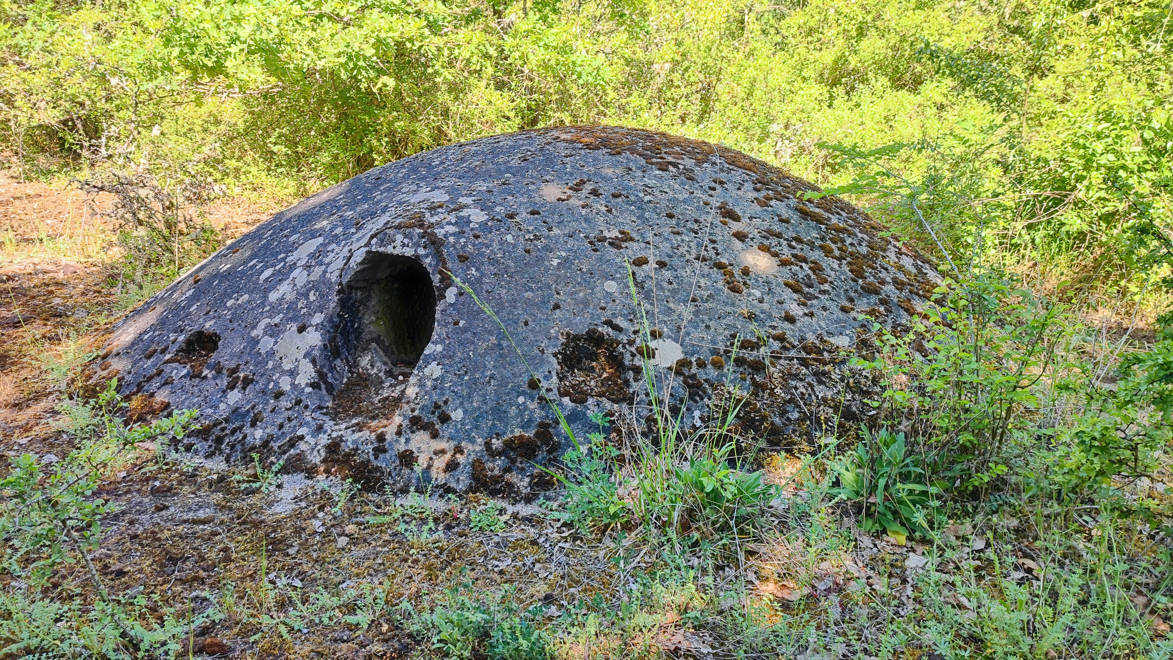 img3